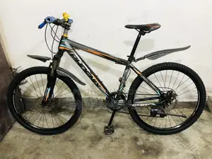 Phoenix Gear Cycle 26” Fresh Condition