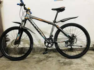 Phoenix Gear Cycle 26” Fresh Condition