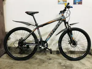 Phoenix Gear Cycle 26” Fresh Condition