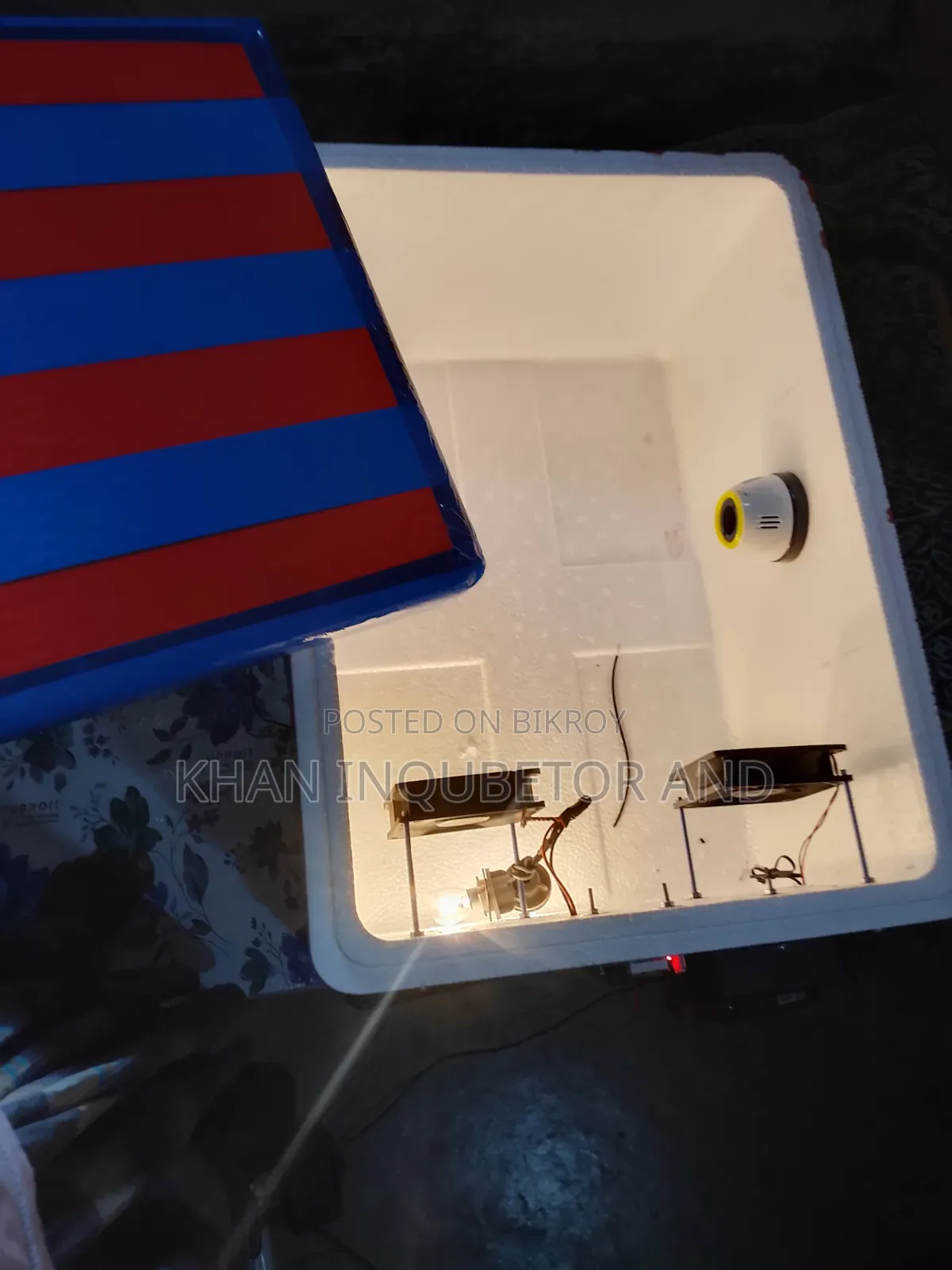 AC DC Incubator. You can run it on battery even if the electricity goes out.
