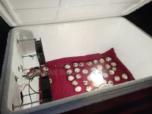 AC DC Incubator. You can run it on battery even if the electricity goes out.