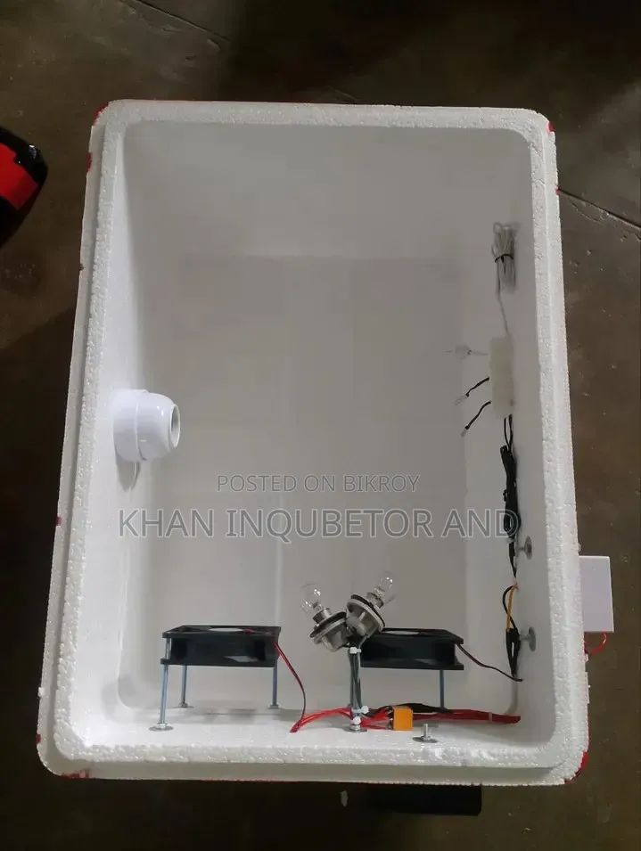 AC DC Incubator. You can run it on battery even if the electricity goes out.