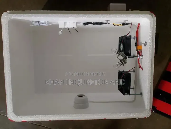 AC DC Incubator. You can run it on battery even if the electricity goes out.