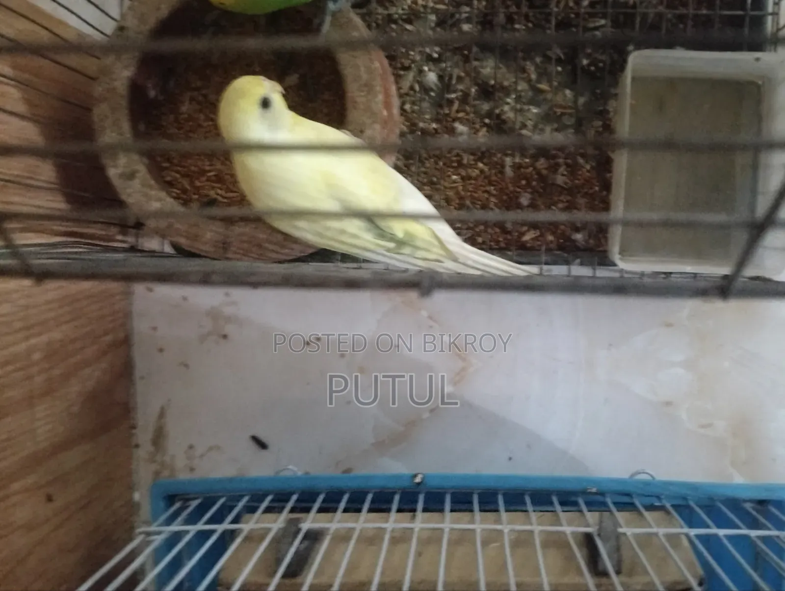ডেলিভারি সম্ভব নয়