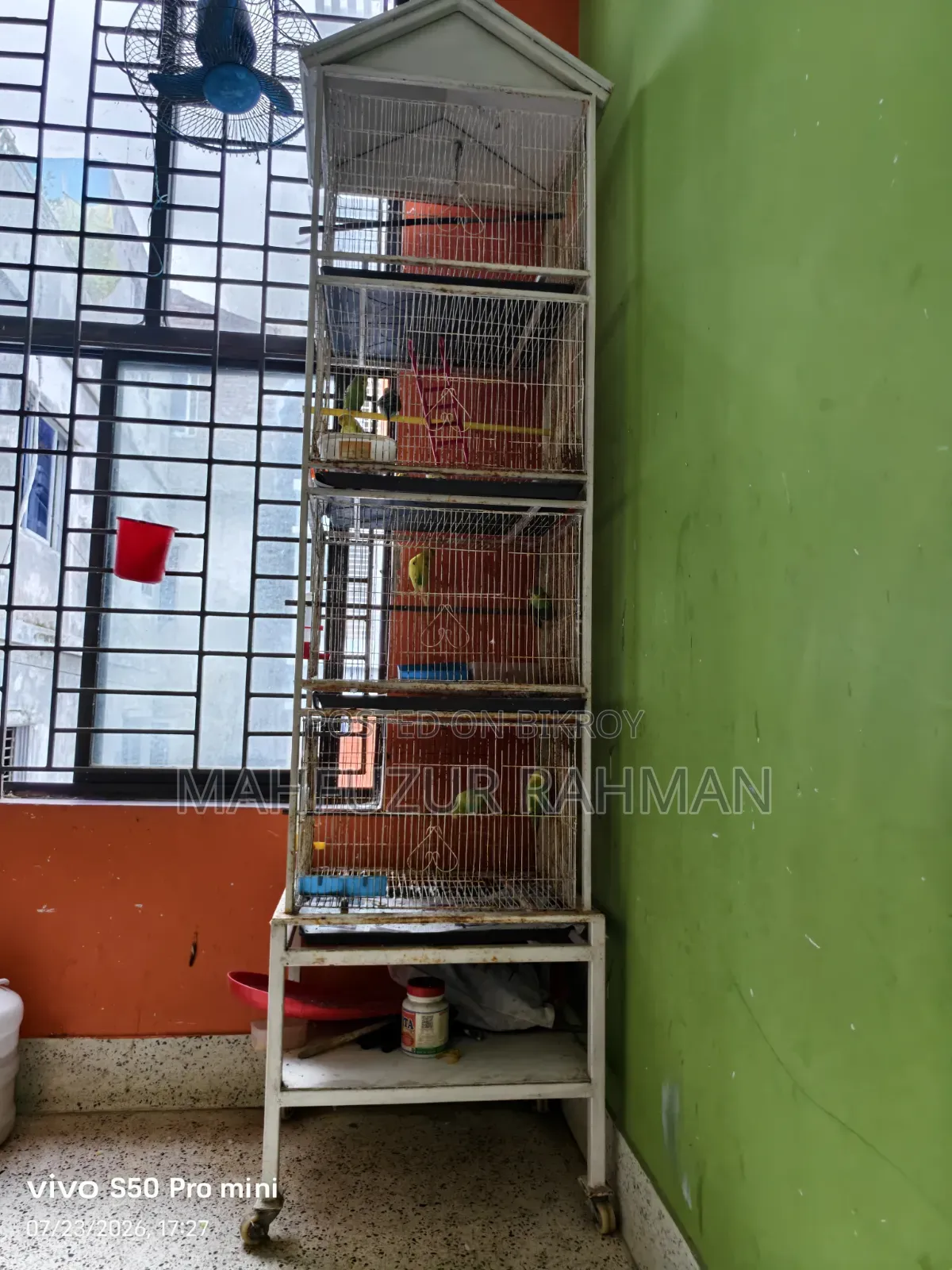 Bird Cage