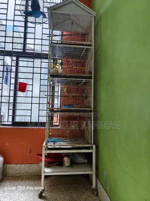পাখির খাঁচা