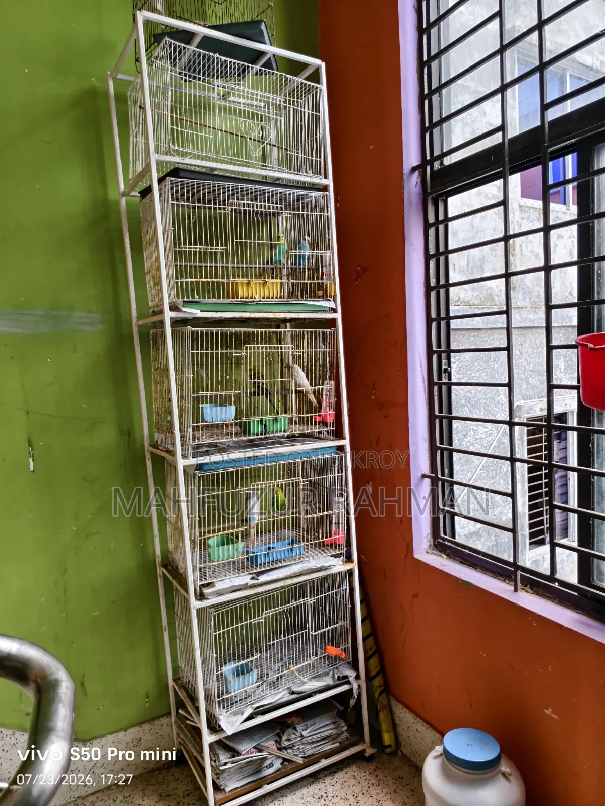 Bird Cage