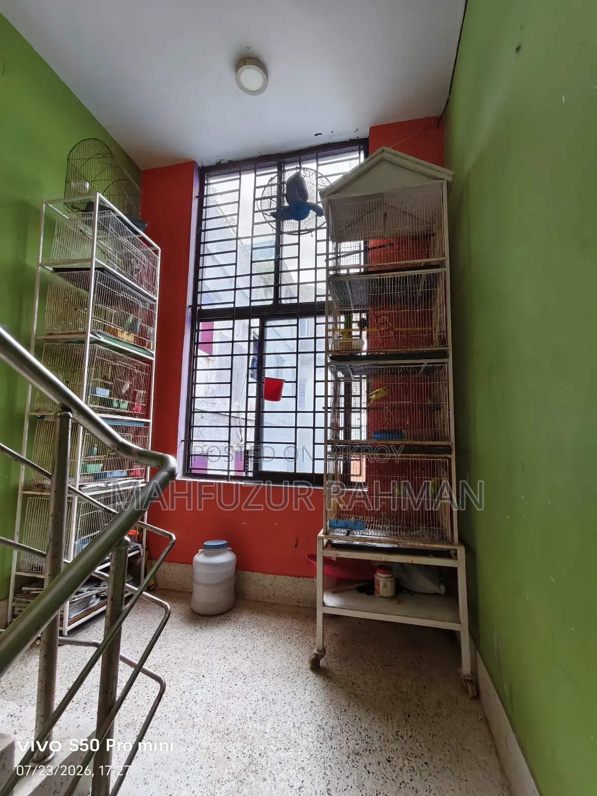 Bird Cage