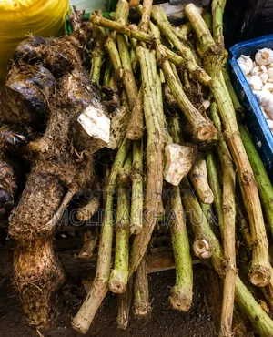 পাইপার চাবা (চুই ঝাল)