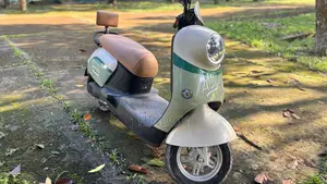 মোটরসাইকেল ২০২৫ গ্রিন