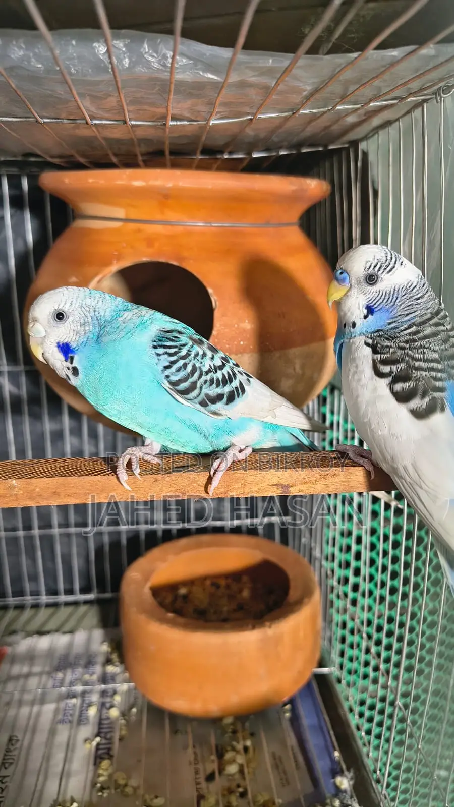 Master Pair (Pieced)