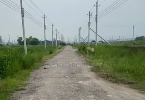 Nearby Park 3 Katha East at Sector-17/H