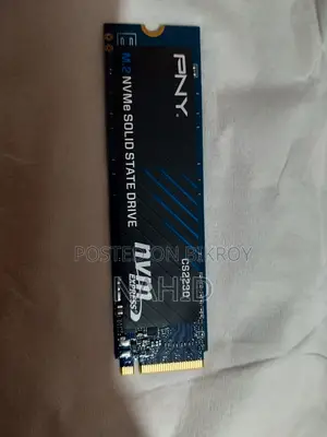 PNY SSD M.2 NVMe 500GB