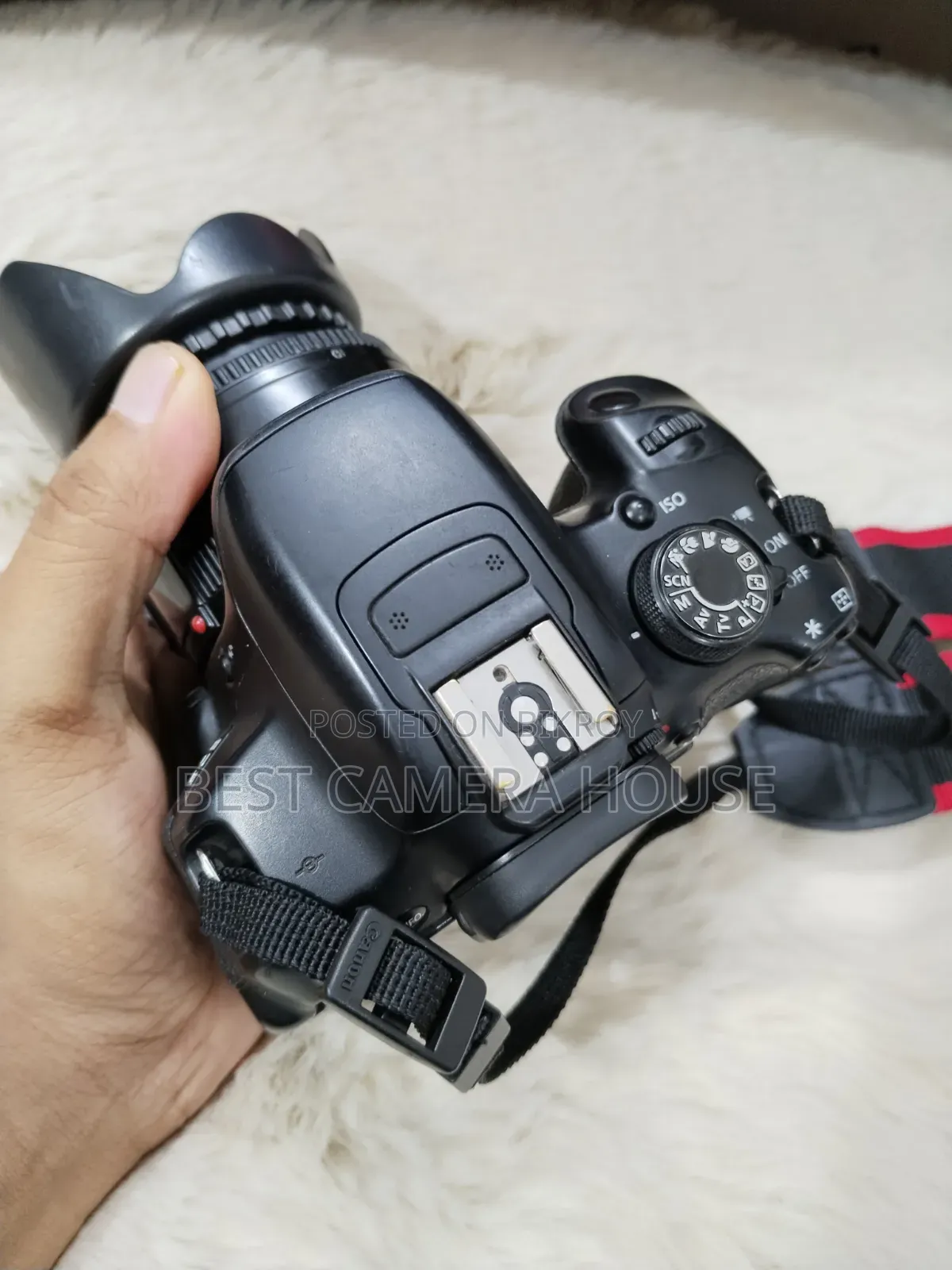 70D with 50mm Prime