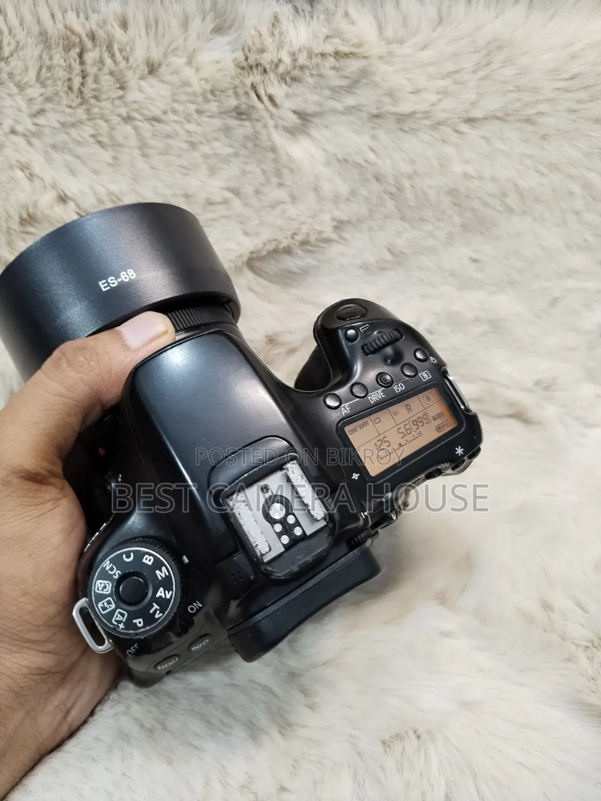 70D+50mm STM Prime