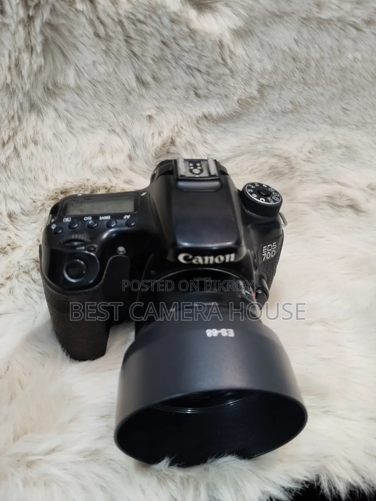 70D+50mm STM Prime