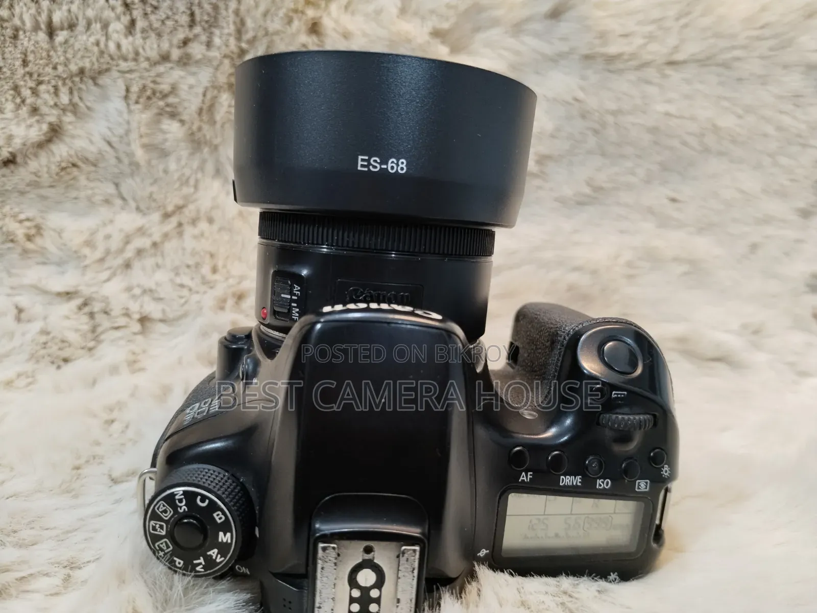 70D+50mm STM Prime
