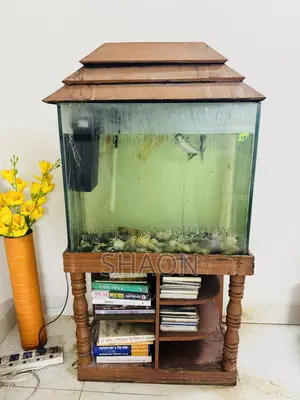 অ্যাকুরিয়াম ফিশ ট্যাংক