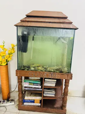 অ্যাকুরিয়াম ফিশ ট্যাংক