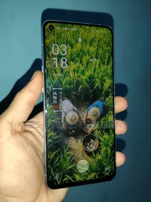 অপো রেনো৬ ৫জি ২৫৬ জিবি ব্লু