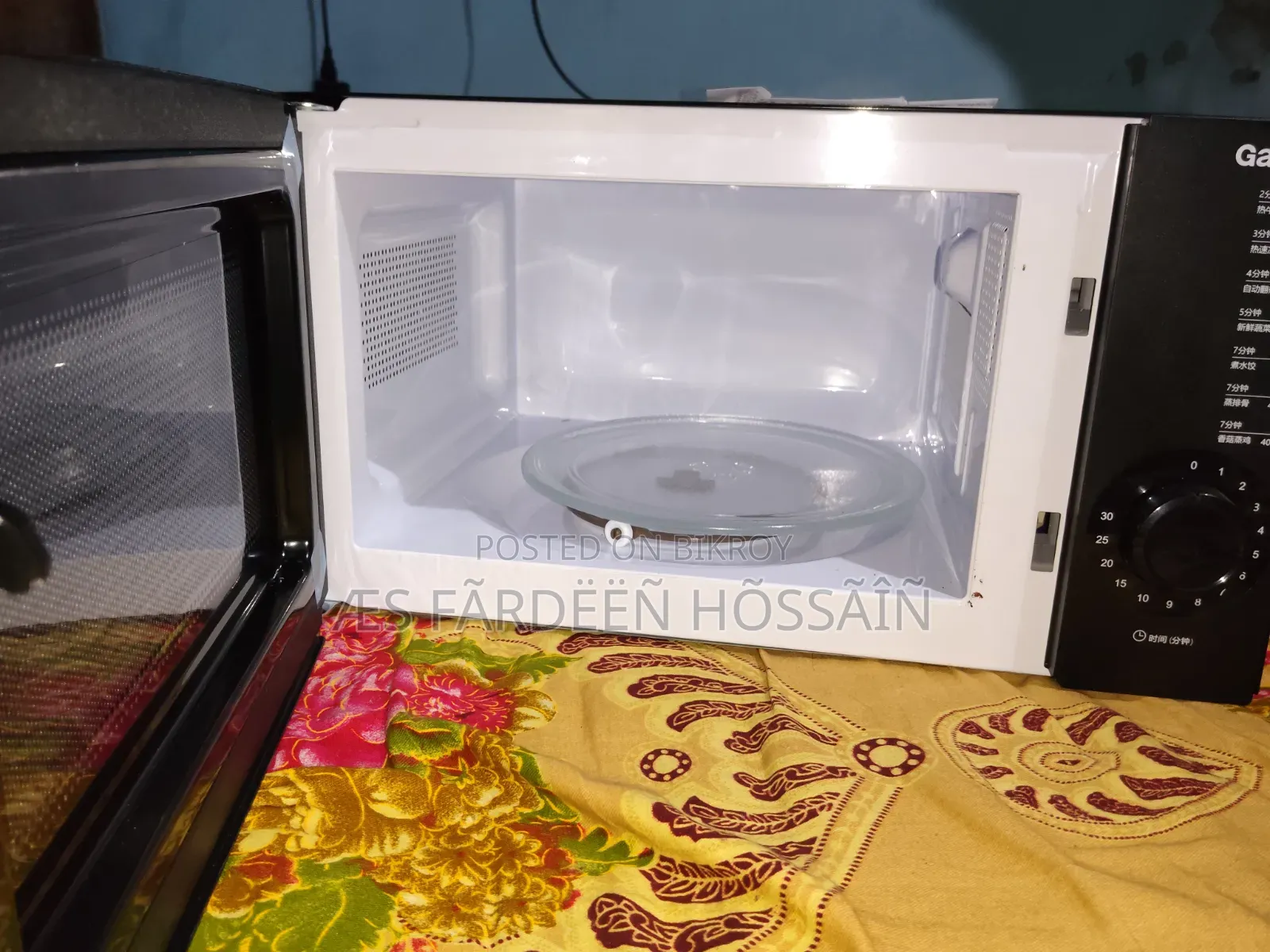 Electric Oven