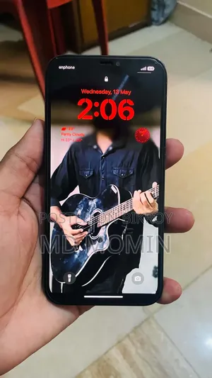 Apple iPhone 12 Pro Max 256 GB Blue