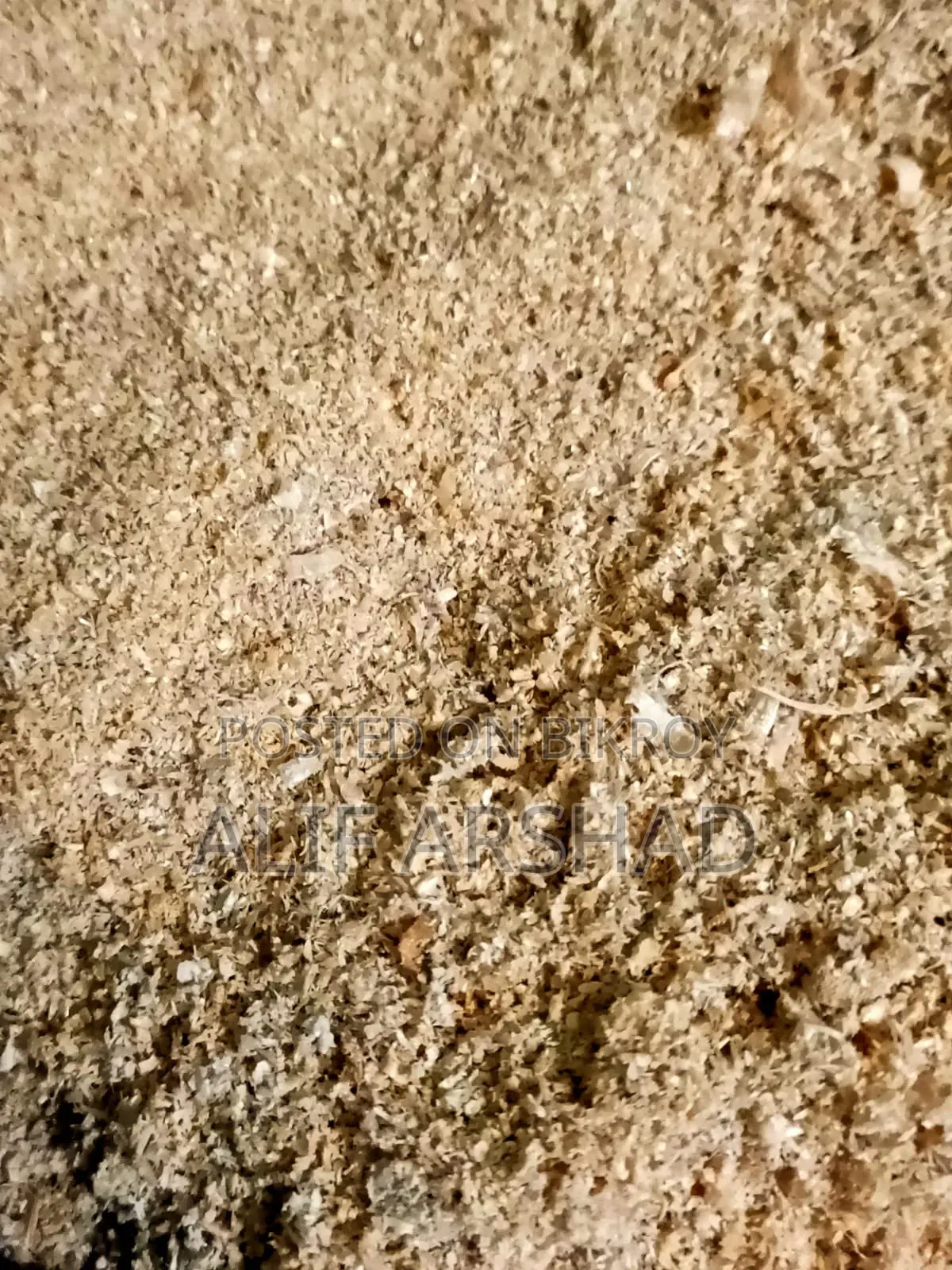 Cat Litter