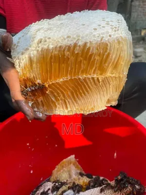 Organic Honey