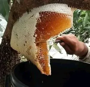 Organic Honey