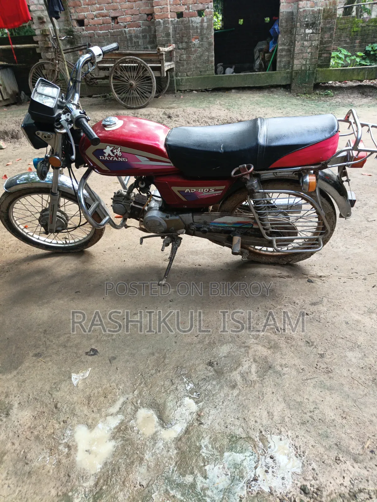 Dayang APOLLO 2015 Red