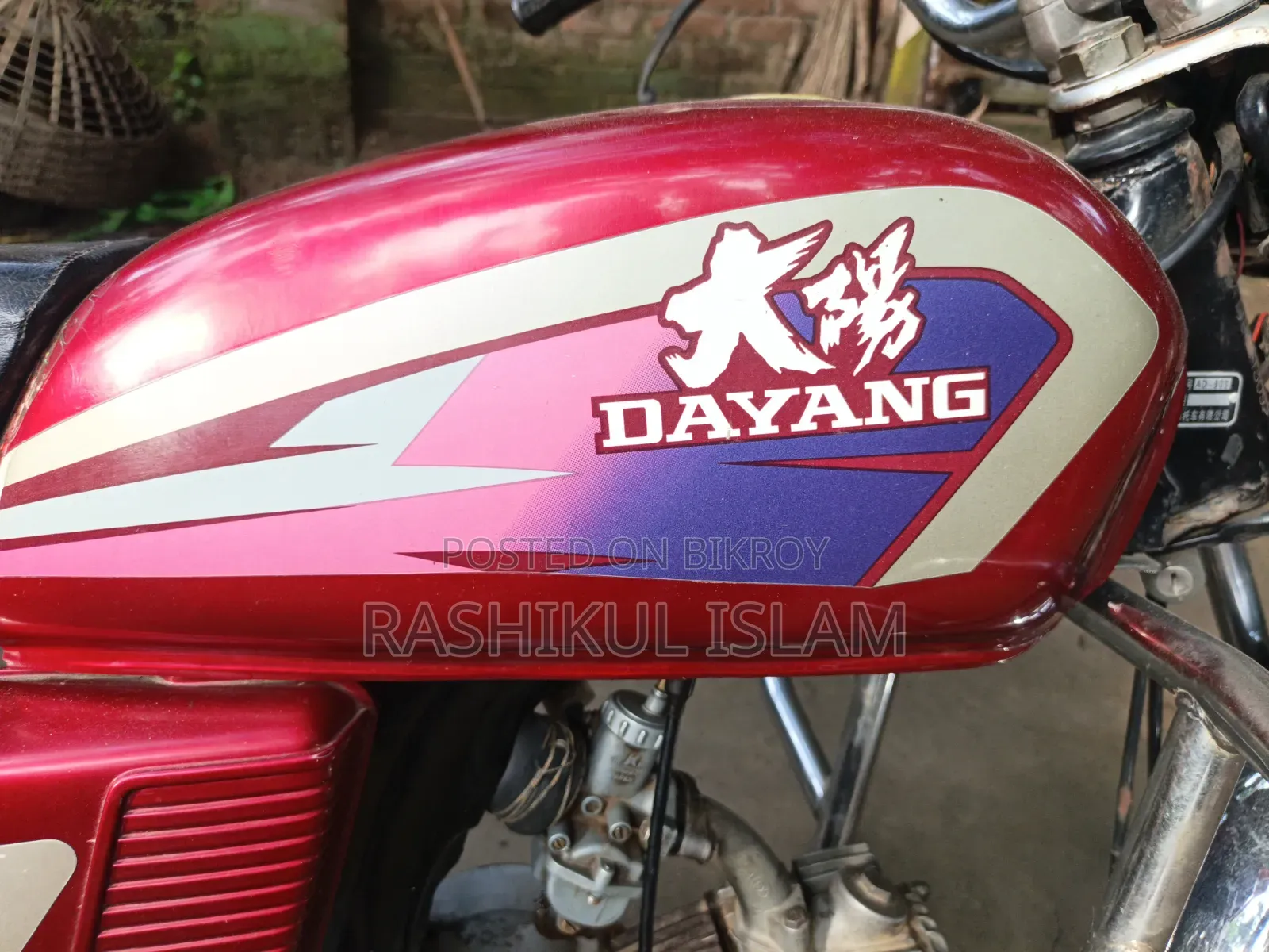 Dayang APOLLO 2015 Red