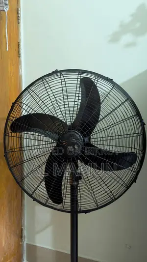 PAK Pedestal Fan