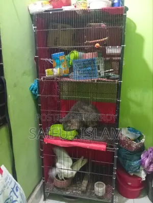৩ খোপের খাঁচা