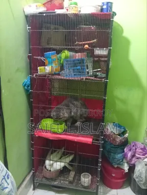 ৩ খোপের খাঁচা