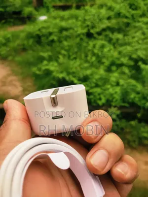 Apple Original Charger