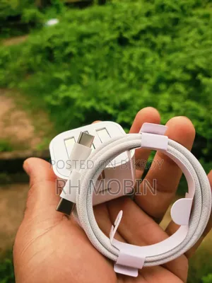Apple Original Charger