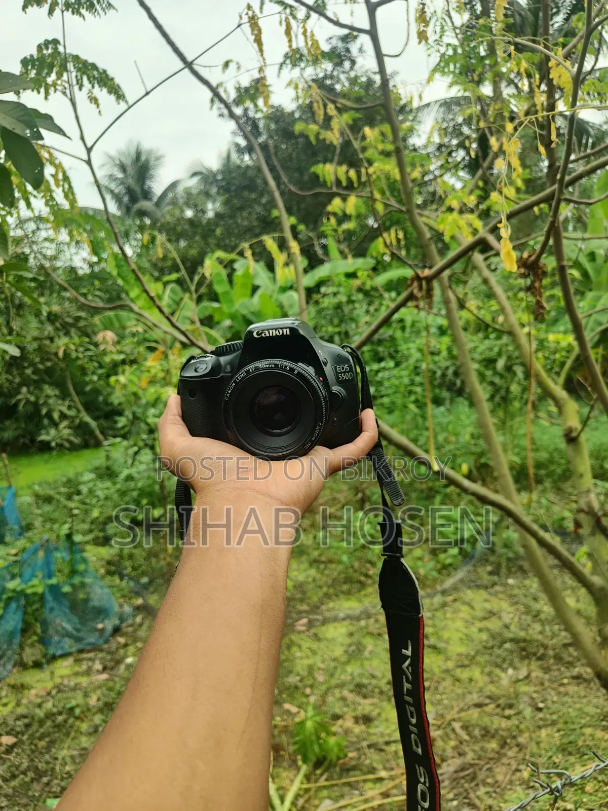 Canon 550D