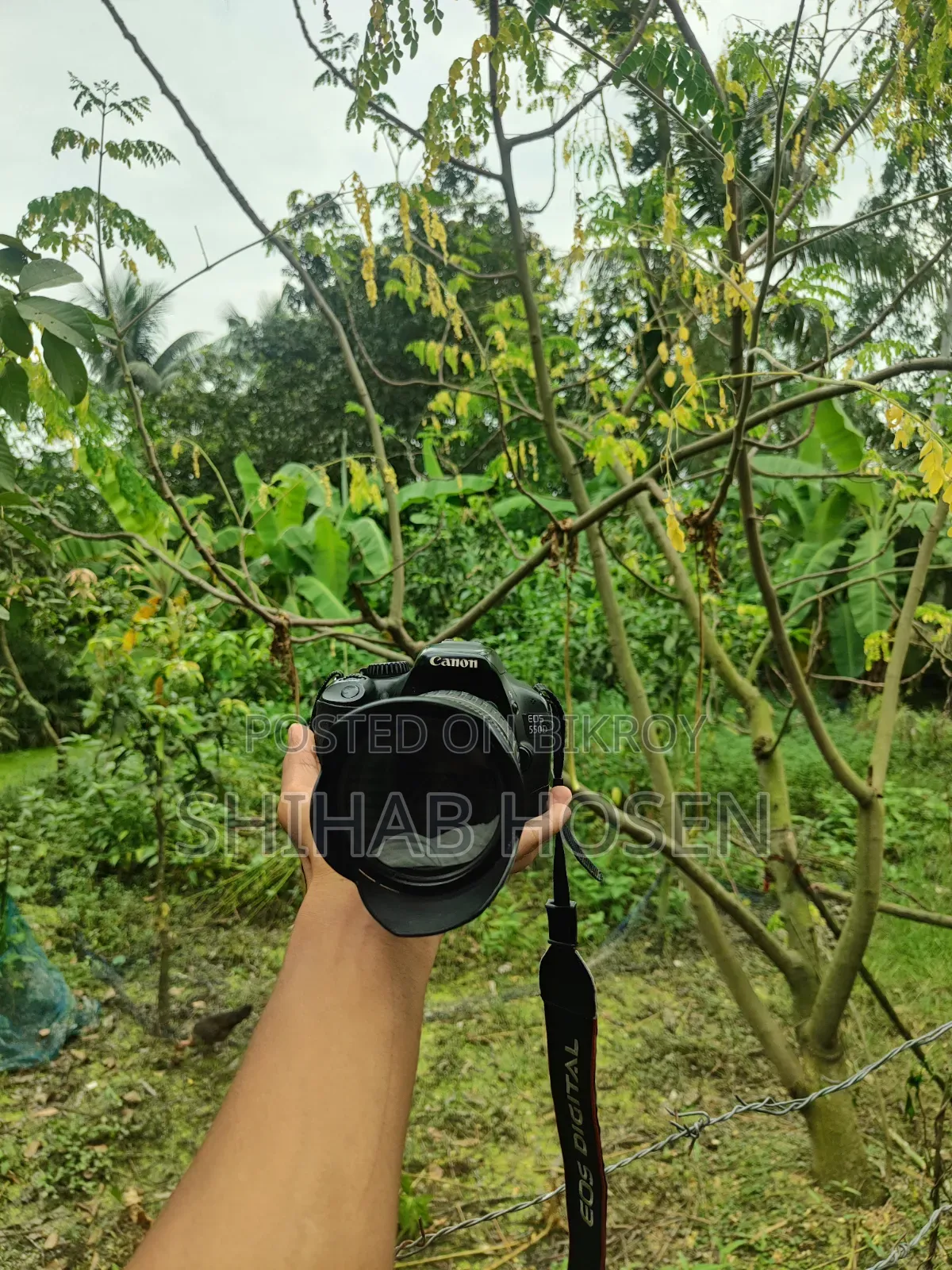 Canon 550D