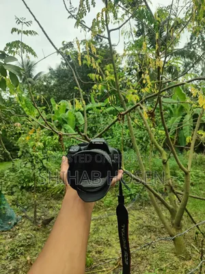 Canon 550D
