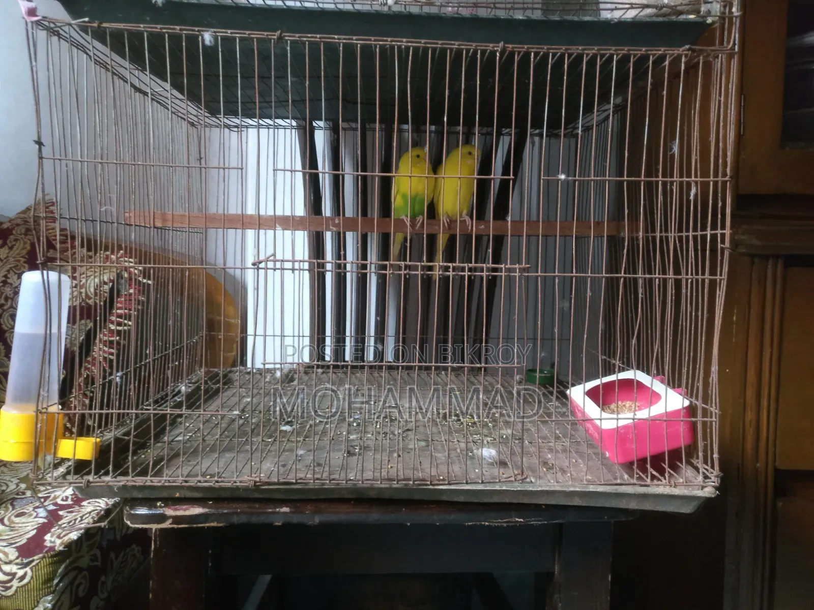 পাখির খাঁচা