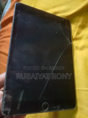 Apple iPad mini 2 16 GB
