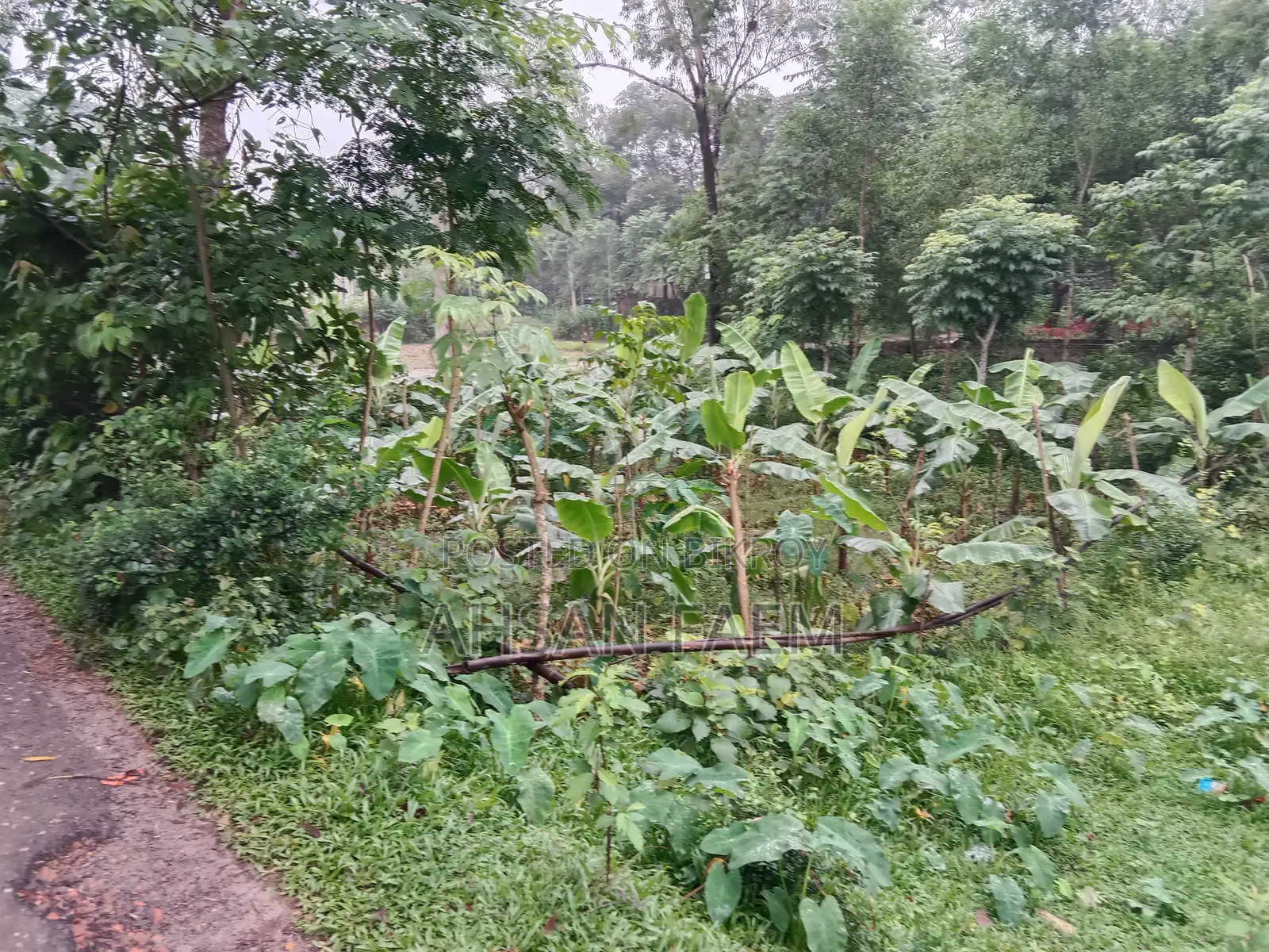 Land Sale Narsingdi, Shibpur, Putia Union. Price 1200000
