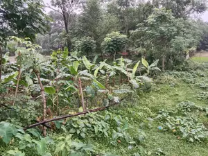 Land Sale Narsingdi, Shibpur, Putia Union. Price 1200000