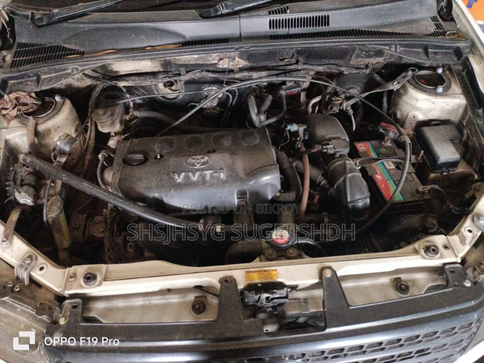 Toyota Probox 2003 White