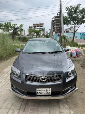 Toyota Axio 2007 Gray