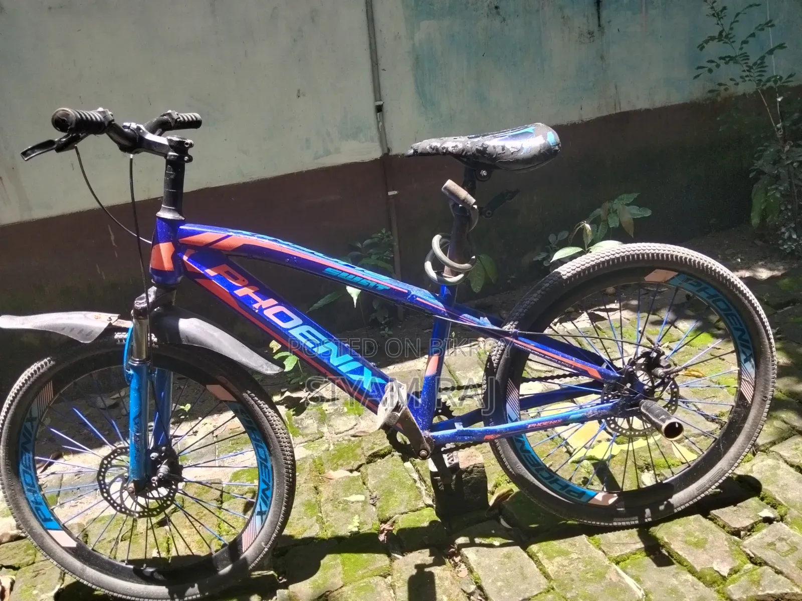 ফিনিক্স ২৪