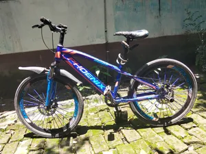 ফিনিক্স ২৪