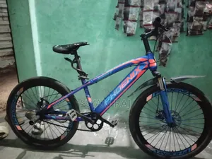 ফিনিক্স ২৪