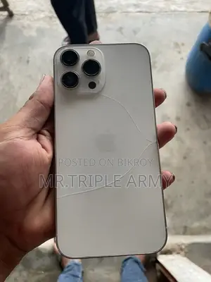 Apple iPhone 13 Pro Max 256 GB Orange