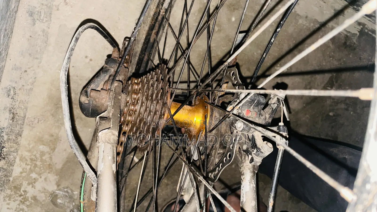 Running Cycle